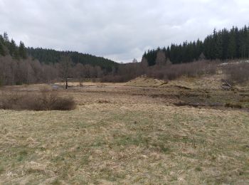 Trail Walking Monschau - Kalterherberg - rocher du Bieley - Photo