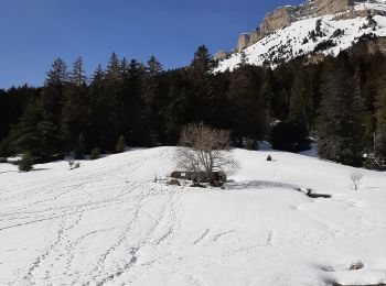 Tour Wandern Le Sappey-en-Chartreuse - 19 2 - Photo