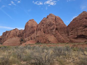 Tocht Stappen  - 2024 Vermillon Cliffs Edmaiers trail - Photo