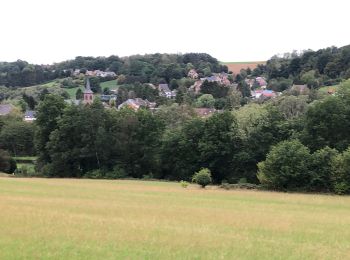 Tour Wandern Court-Saint-Étienne - La Roche Marie Jeanne - Photo