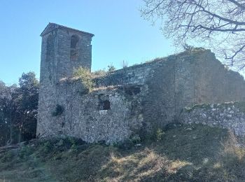 Randonnée A pied Sant Feliu de Pallerols - Sant Feliu de Pallerols-Sant Pere Sacosta-La Salut - Photo