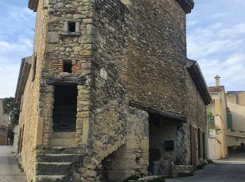 Tour Wandern Cabrières-d'Aigues - 2023-03-10 Mourre Nègre  - Photo