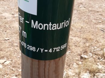 Tour Wandern Oms - monta - Photo