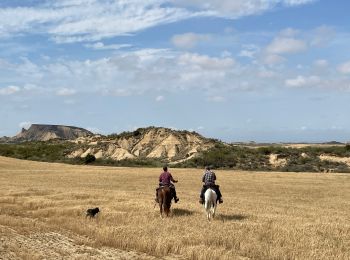 Tocht Paardrijden Bardenas Reales de Navarra - Bardenas jour 5 - Photo