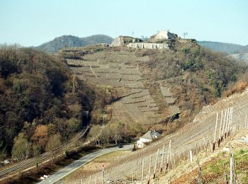 Tour Zu Fuß Altenahr - Altenahr Rundweg 3 - Photo