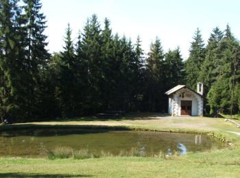 Tour Zu Fuß Sovere - CAI553A: Stalle d'Onito - Cima Trifone - Photo