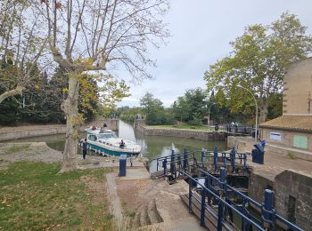 Percorso Bici da strada Saint-Nazaire-d'Aude - Canal du midi étape 4 - Photo