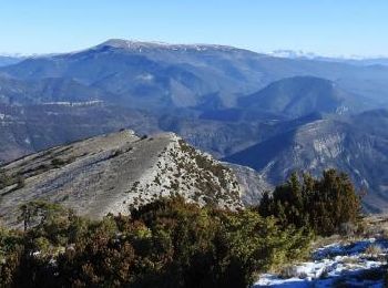 Excursión Senderismo Teyssières - Le Cougoir Mielandre 12km - Photo