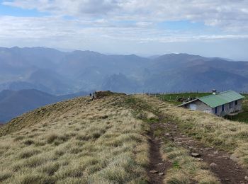 Trail Walking Mercus-Garrabet - fourcat 2.11.24 - Photo