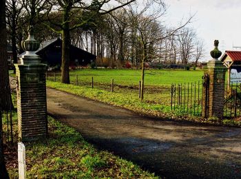 Tocht Te voet Zwolle - WNW IJsseldelta - Zandhove -rode route - Photo