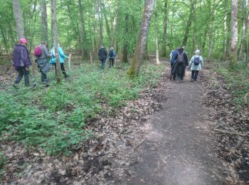 Trail Walking Montigny-sur-Loing - sorques-12 mai 2023  - Photo