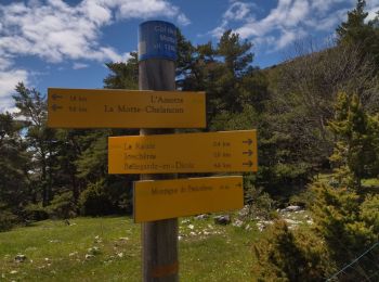 Tour Wandern Chalancon - 26 eyriau - Photo