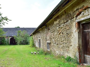 Tour Zu Fuß Pfarrkirchen im Mühlkreis - Traumblickrunde - Photo