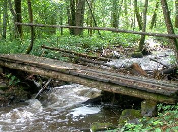 Randonnée Marche Brousse - Brousse_Montboissier - Photo