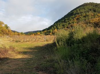Randonnée Marche nordique Soubès - Camin Farrat - Photo