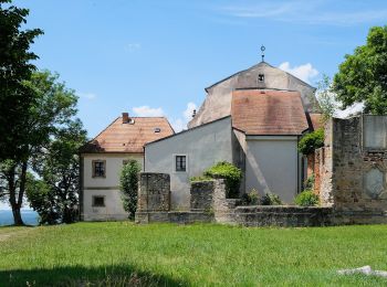 Percorso A piedi Speinshart - Speinshart-Barbaraberg - Photo