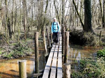 Randonnée A pied Dilbeek - Stationswandeling Dilbeek - Ternat - Photo