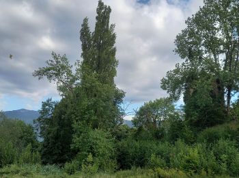 Tocht Stappen Vinay - Château de la Blache - Photo