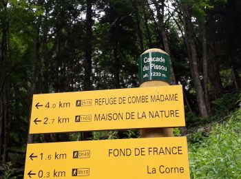 Randonnée Marche Le Haut-Bréda - cascade du Pissou - Photo