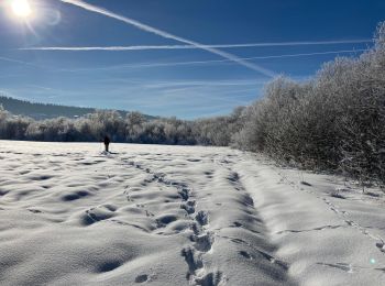 Tour Schneeschuhwandern Grande-Rivière-Château - Lac de l abbaye - Photo