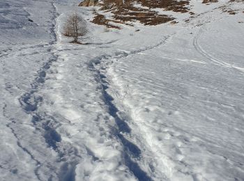 Percorso Racchette da neve Monginevro - Montgenevre Raquettes - Photo