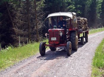 Percorso A piedi Schleusegrund - Rundwanderweg Talsperre Schönbrunn - Photo