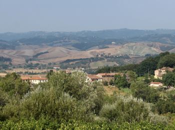 Excursión A pie Gambassi Terme - Dolce campagna, antiche mura 13 - Photo