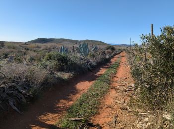 Trail Walking Níjar - Los Albaricoques 1 - Photo