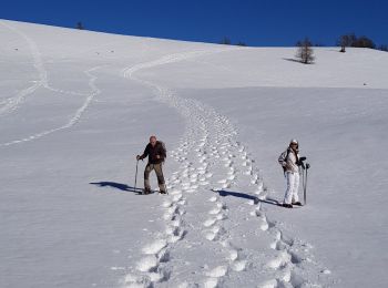 Randonnée Raquettes à neige Beuil - raquette tour du Garnier - Photo