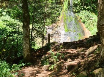 Randonnée Marche Baiersbronn - Baiersbronn Sankenbach - Photo