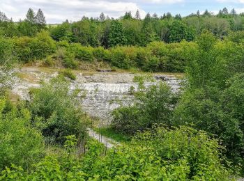 Percorso A piedi Gottinga - Rundwanderweg Seckborngrund/Omborn - Tour braune Raute - Photo