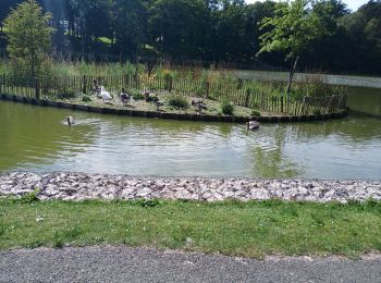 Trail Walking Forges-les-Eaux - Forges les Eaux.Vers la fontaine de la Chevrette  - Photo