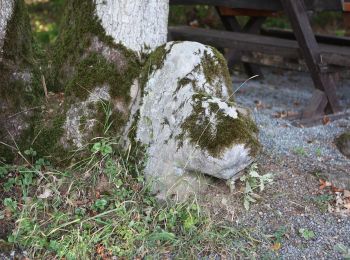 Tocht Te voet Weismain - Fuchstrail - Photo