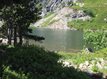 Randonnée Marche Mijanès - Les 3 étangs de rabassoles - Photo