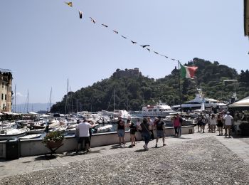 Percorso Marcia Portofino - Portofino-margherita-8kmD350m-mai22 - Photo