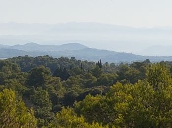 Excursión Senderismo Beaumont-de-Pertuis - Beaumont de  Pertuis - La Bastide des Jourdans - Photo