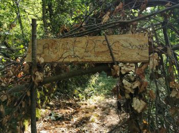 Trail Walking La Chapelle-du-Mont-du-Chat - Le mont de la Charvaz - Photo