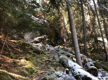 Trail Walking Orelle - parking edf vers Bissorte arrêt les Cartillères - Photo