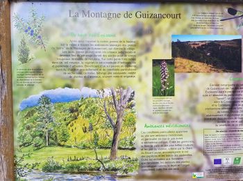 Randonnée Marche Bergicourt - bergicourt - Photo