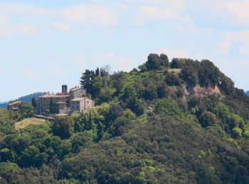 Randonnée A pied Pomarance - Libbiano - Villa di Monterufoli - Photo