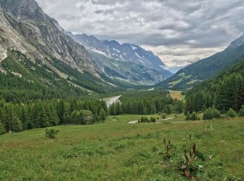 Trail On foot Courmayeur - IT-14 - Photo