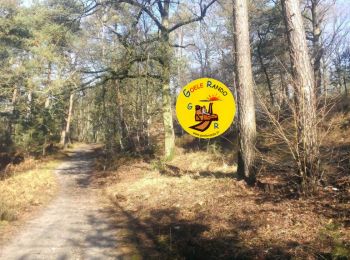 Trail Walking Fontaine-Chaalis - MR_ERMENONVILLE_Longue-Route_5.2Km - Photo