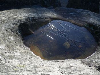 Excursión A pie Courances - Vallées de l'Essonne et de l'École - Photo