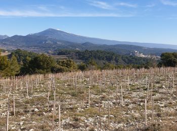 Trail Walking Lafare - Lafare Laroque Alric Graveyron + - Photo