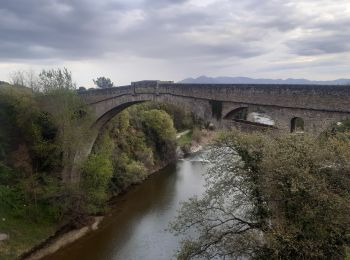 Trail Walking Céret - Céret pont du Diable . Saint Feriol (boucle sens aiguilles de la montre) - Photo