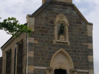 Tour Wandern Fleurie - les vignes de Fleurie - Photo