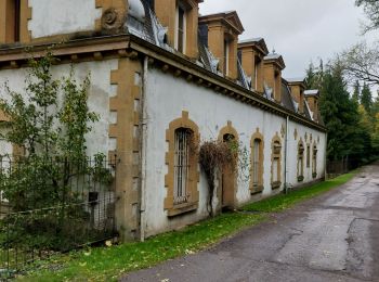 Excursión Senderismo Habay - De HABAY à MARBEHAN _ De Gare à Gare _ Rando 14 _ LUX - Photo