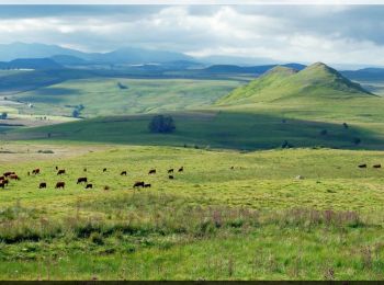 Tour Wandern Le Breuil-sur-Couze - Breuil_Couze_Puy_Joux - Photo