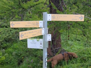 Trail Walking La Thuile - laghi Di bellacomba - Photo