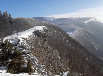 Tocht Stappen Vassieux-en-Vercors - Forêt communale de Dié - Photo